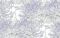 Флизелиновые обои Trend Trend2 006