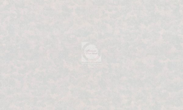 Виниловые обои Мечта 4105-6