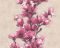 Виниловые обои AS-Creation Happy Spring 32139-1