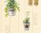 Бумажные обои AS-Creation Simply Decor 33636-2