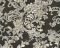 Виниловые обои AS-Creation Kind of White 34077-2