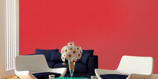 Виниловые обои AS-Creation Pop colors 3462-30