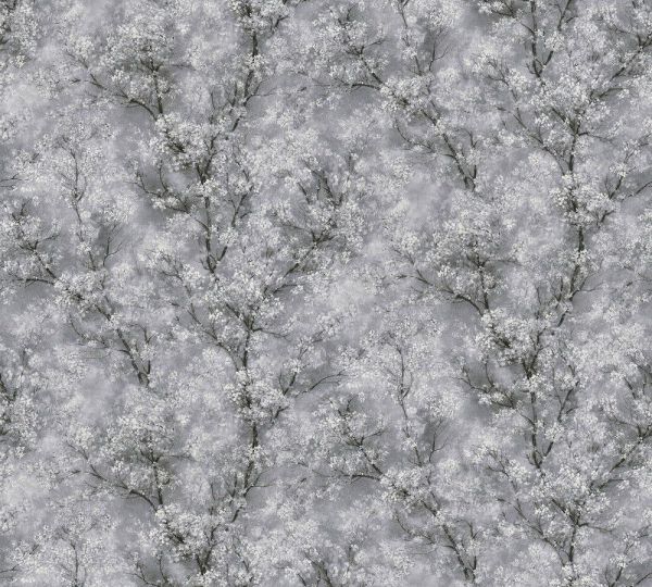 Виниловые обои AS-Creation Sakura 37542-1