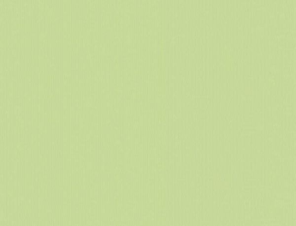 Виниловые обои AS-Creation Best of Esprit 5507-29