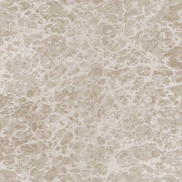Виниловые обои Zambaiti Trussardi 2 5569