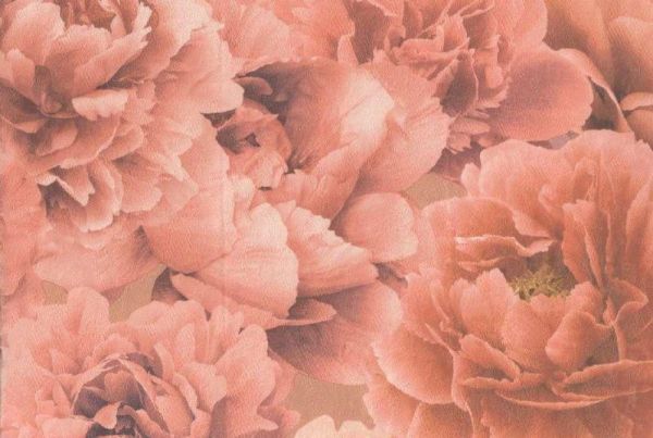 Виниловые обои Elysium Peony 6001-04