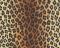 Бумажные обои AS-Creation Decora Natur 6630-16