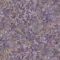 Виниловые обои Decori&Decori Carrara 82647
