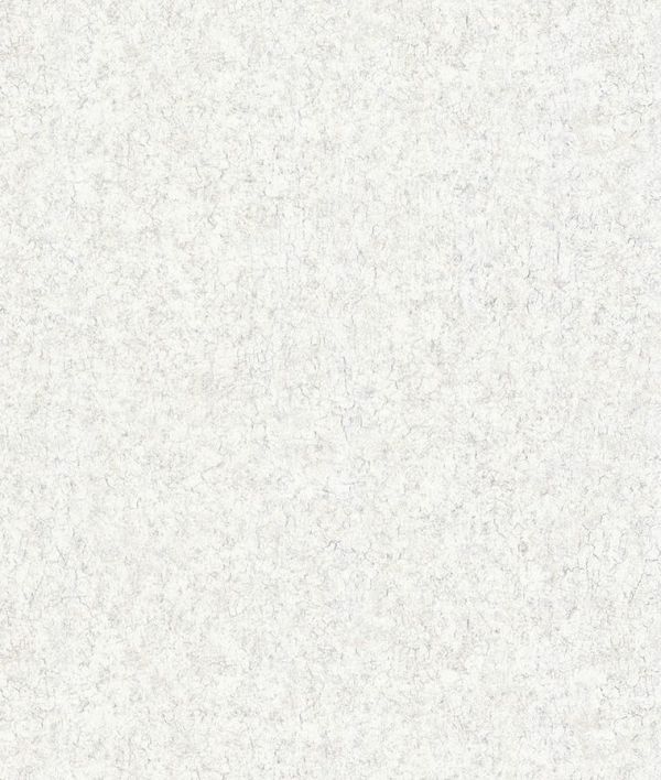 Виниловые обои Decori&Decori Volterra 82951