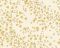 Флизелиновые обои AS-Creation Versace 93585-5