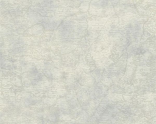 Бумажные обои AS-Creation Decora Natur 95896-1