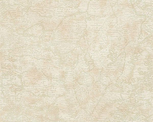 Бумажные обои AS-Creation Decora Natur 95896-2