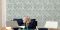 Флизелиновые обои Valentino Ricci Valentino Ricci 3 MC11503