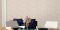 Флизелиновые обои Milassa Swan SW1 002/4